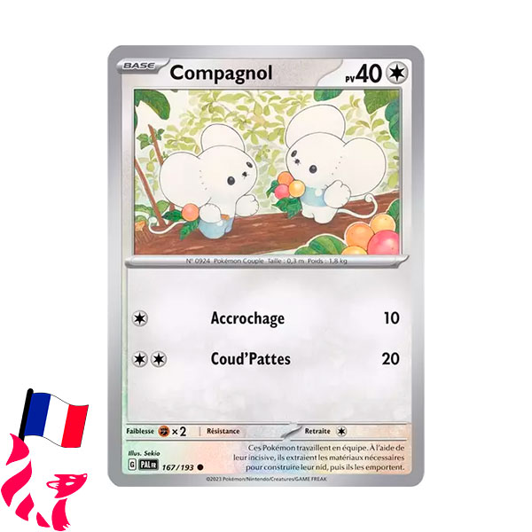 Pokémon - Carte 167/193 "Compagnol"
